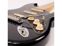 Vintage Reissued Series V6HM BB Double Cutaway Vintage Reissued Series V6HM BB Double Cutaway